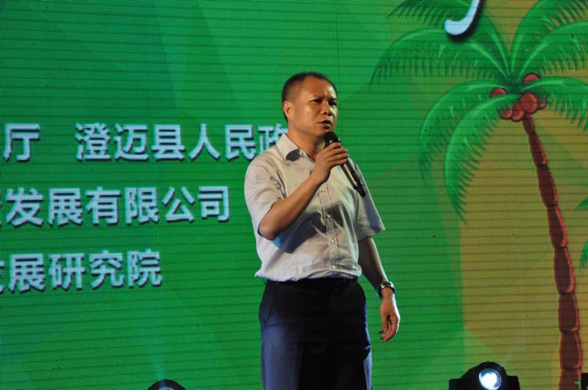 龙创知识产权